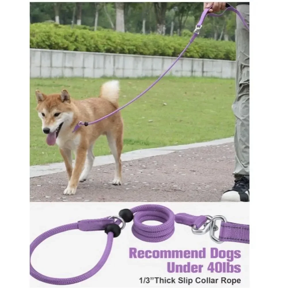 Aiyuda Tangle-Free Slip Lead 6ft Double Handle Leash for Dogs Under 40 Lbs Purpl